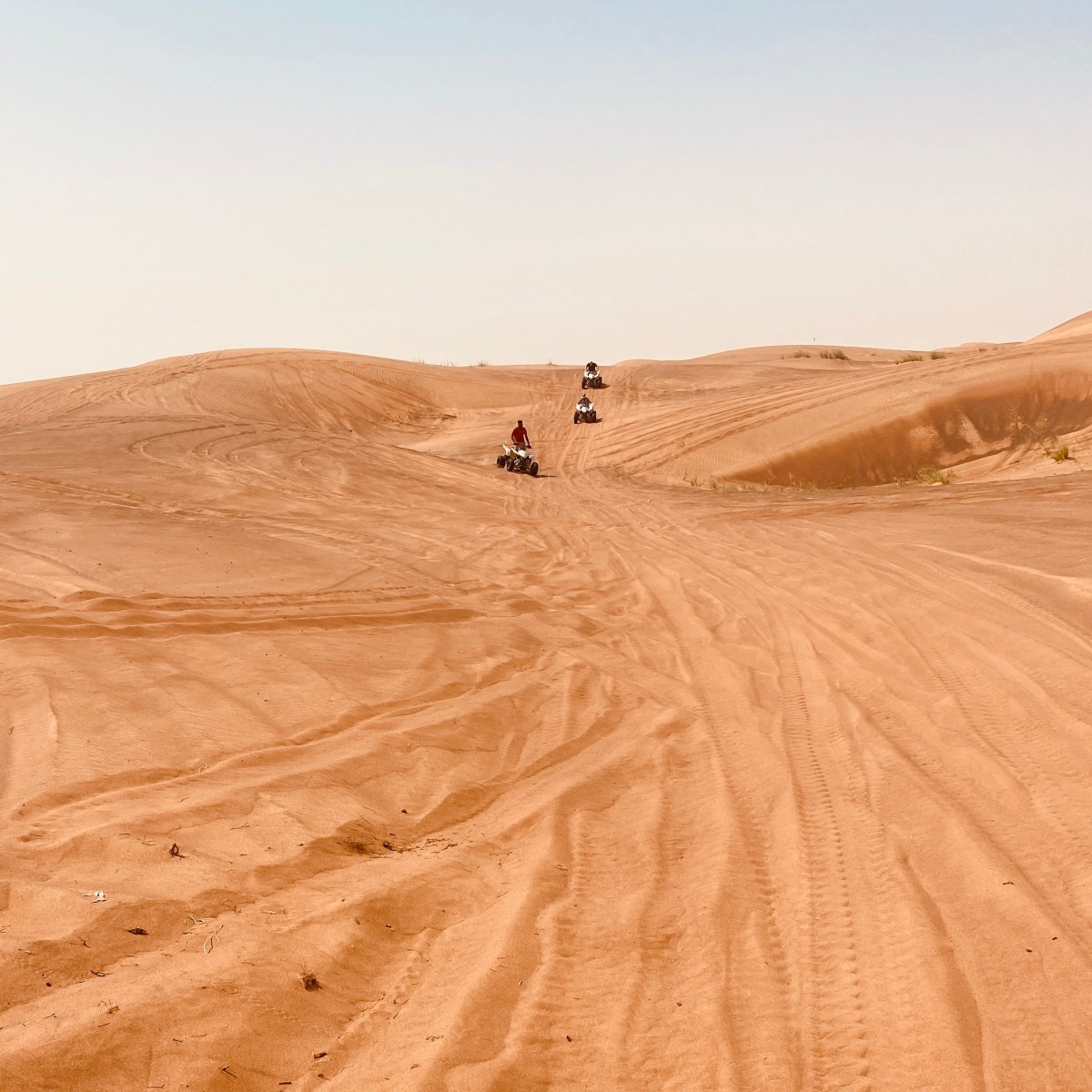 Quad Tour&nbsp;&nbsp;&nbsp;&nbsp;&nbsp;&nbsp;&nbsp;&nbsp;&nbsp;