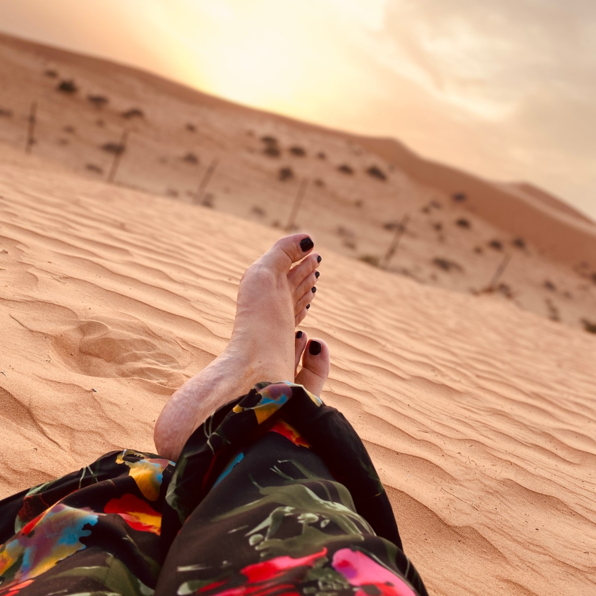 The Dunes Safari &&nbsp;Camping