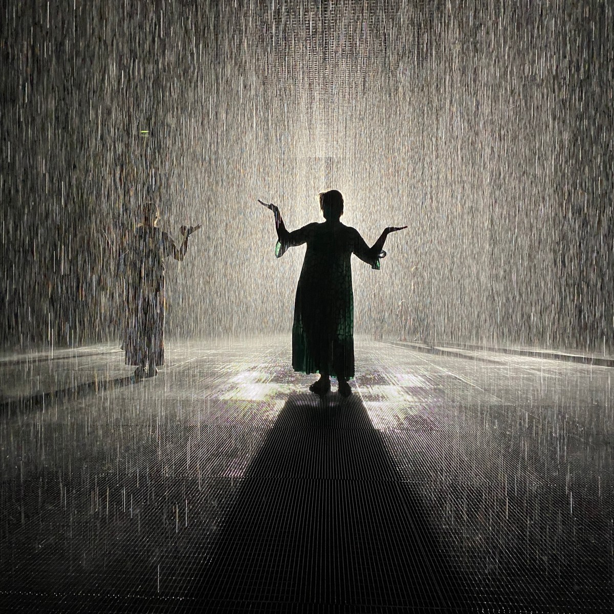 Rain Room