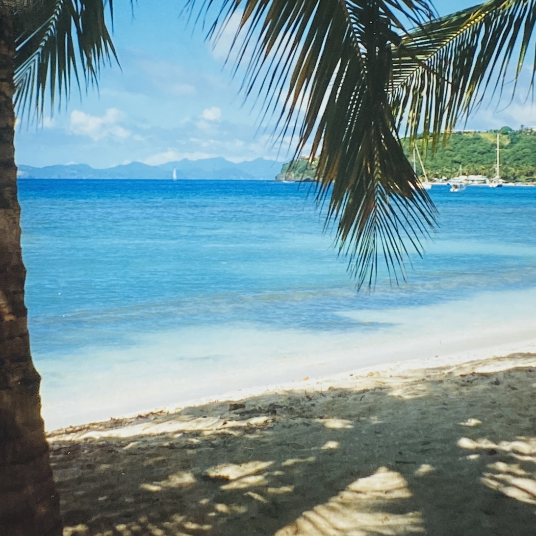 Segeln in der Karibik&nbsp;–