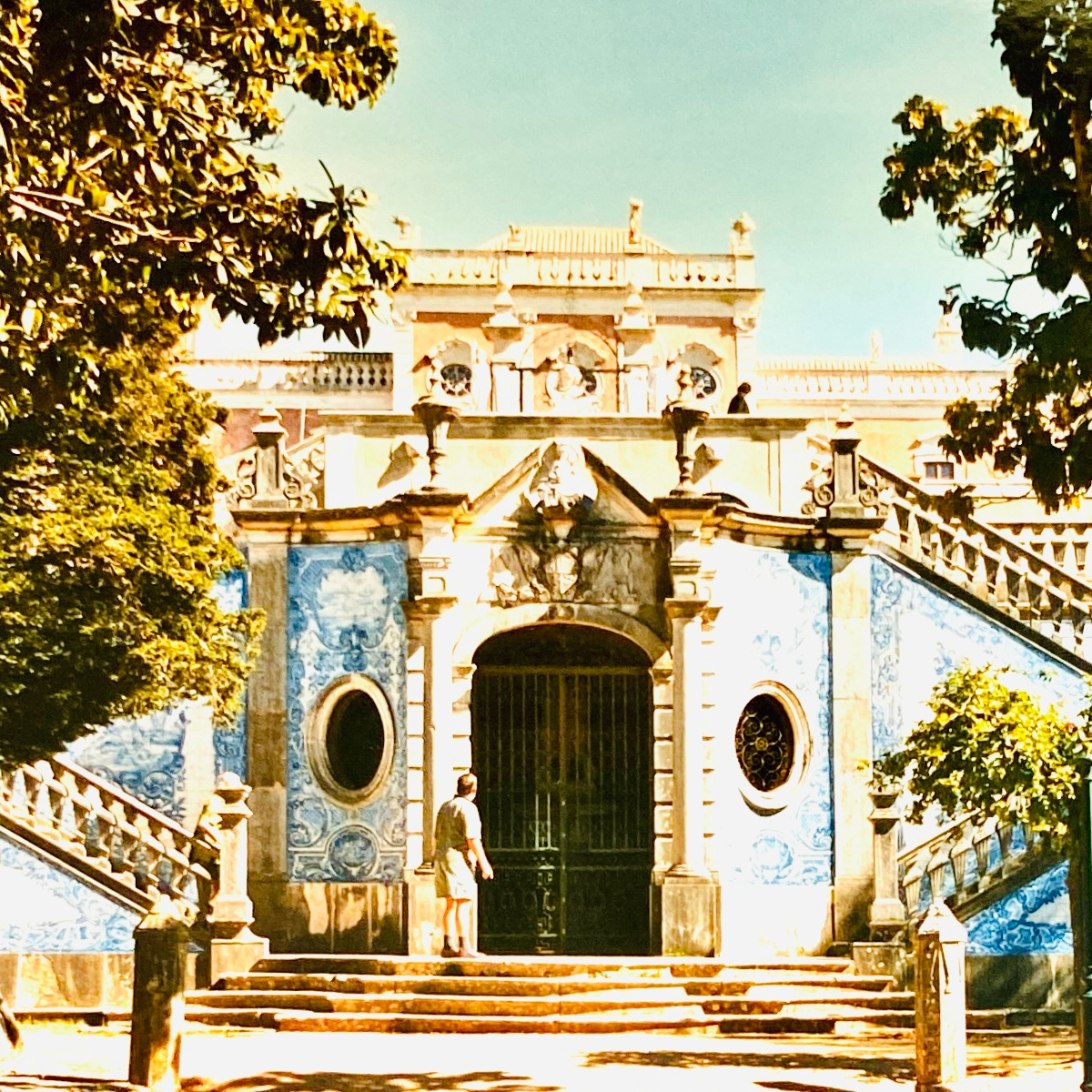 Den Frühling in Portugal&nbsp;genießen.