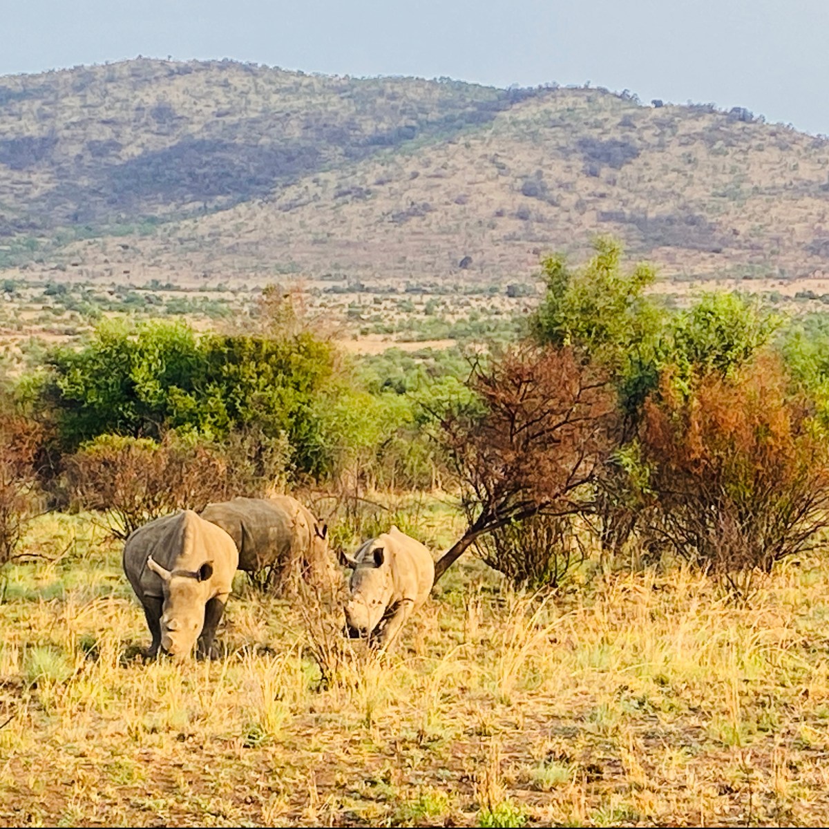 Nach sechs Jahren zurück in der alten&nbsp;Heimat…