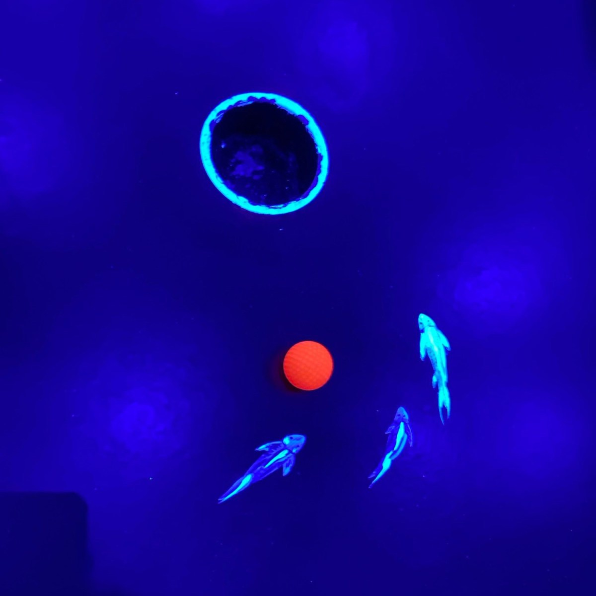 3D Blacklight Minigolf&nbsp;Dubai